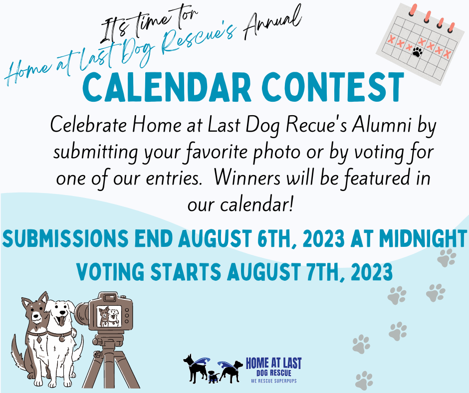 calendar contest