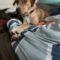 Samira (Retriever mix)